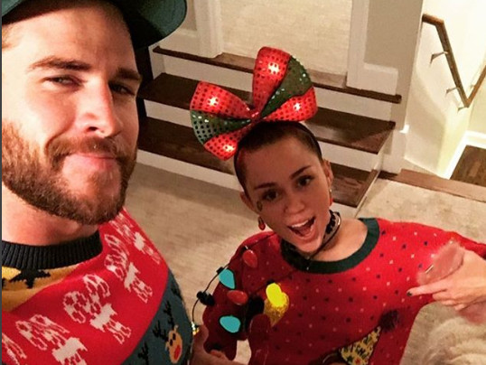 麦莉获得宠物抚养权 曾曝因锤弟勇救宠物行为结婚（麦莉莉百科）